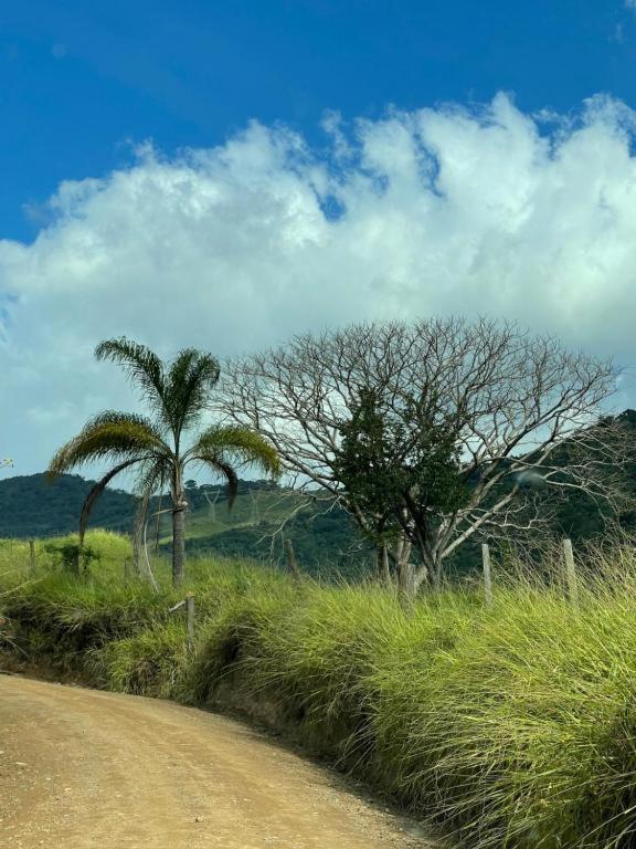 Pico Do Gaviao